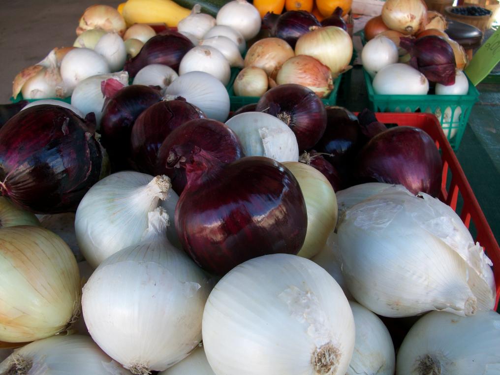 Red, white, and yellow onions in containers on a table